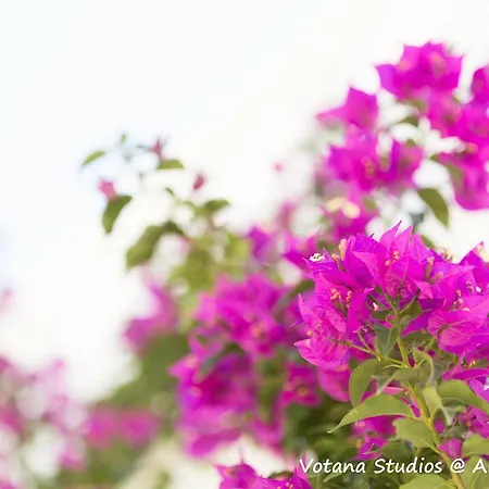 Votana Appartement *